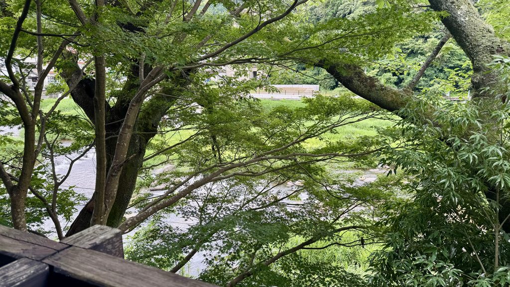 清流荘の客室の広縁から見える緑